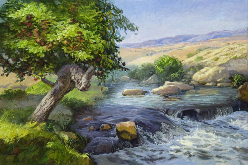De boom aan het water