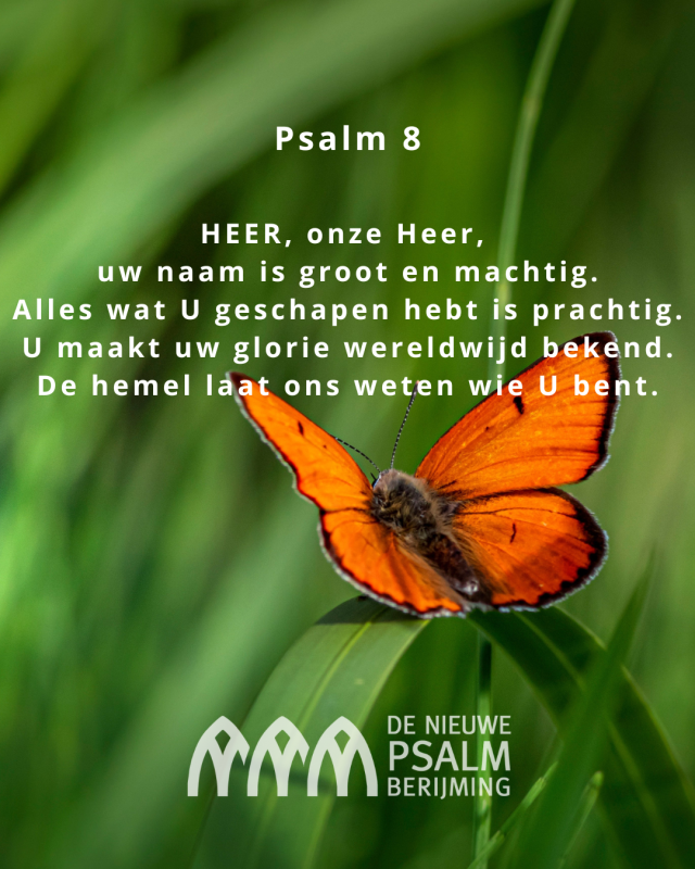 Psalm 008