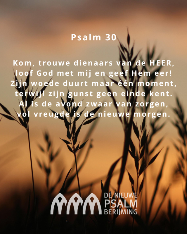 Psalm 030