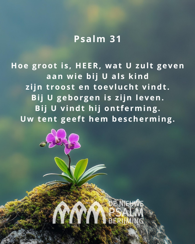 Psalm 031