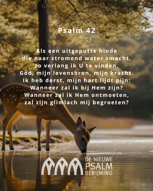 Psalm 042