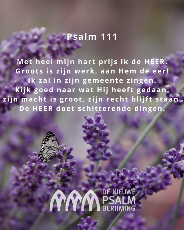 Psalm 111